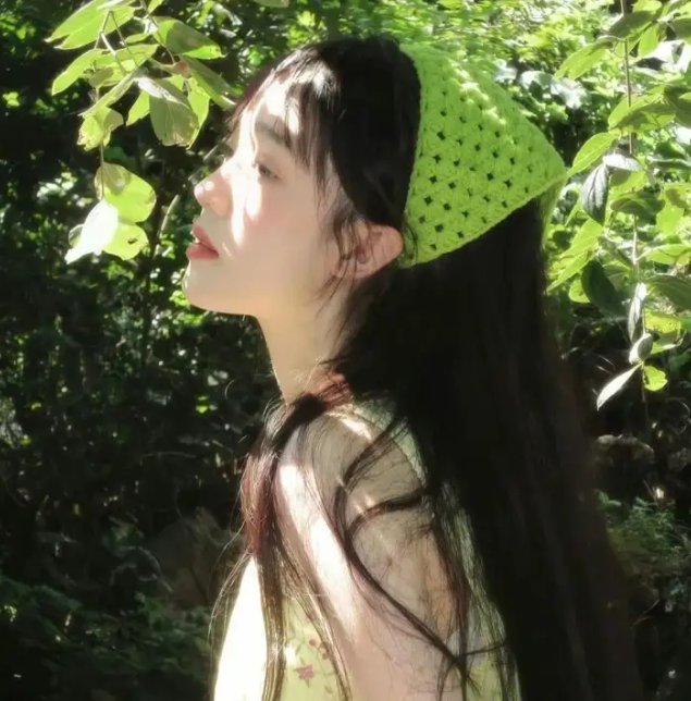 完美的主人