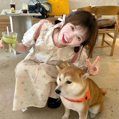 全能纳米机械狗